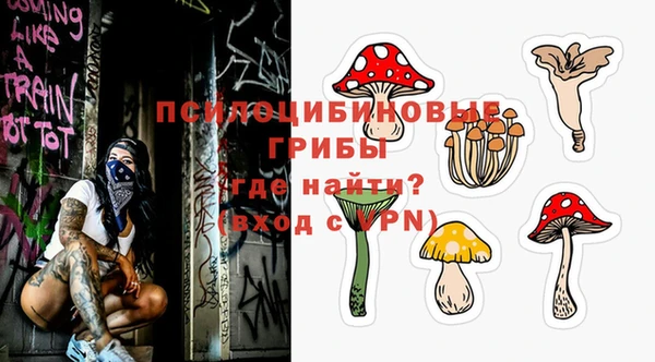 соль ск Абдулино