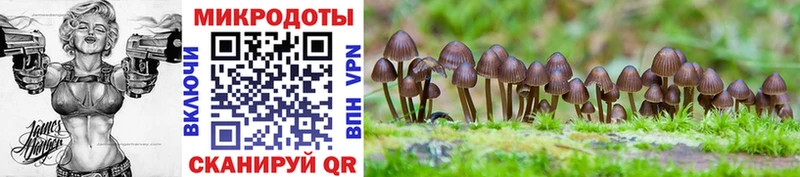 Галлюциногенные грибы мицелий  Зерноград 